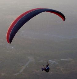 paraglider